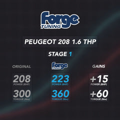 ECU Performance Software Peugeot 208 GTI/Citroen DS3 performance