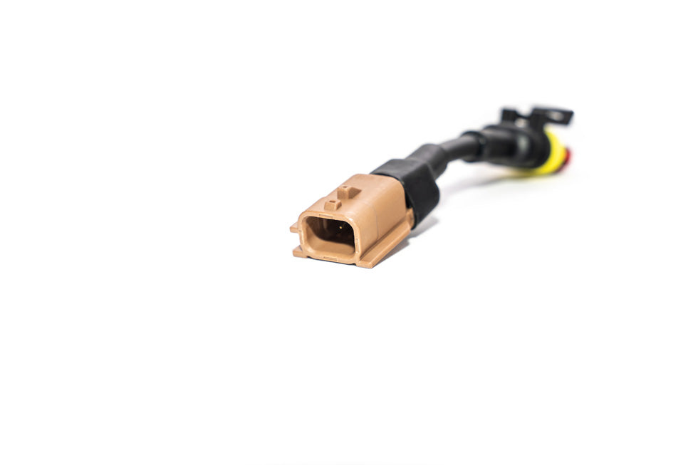 Forge E-DV Wiring Loom Replacement